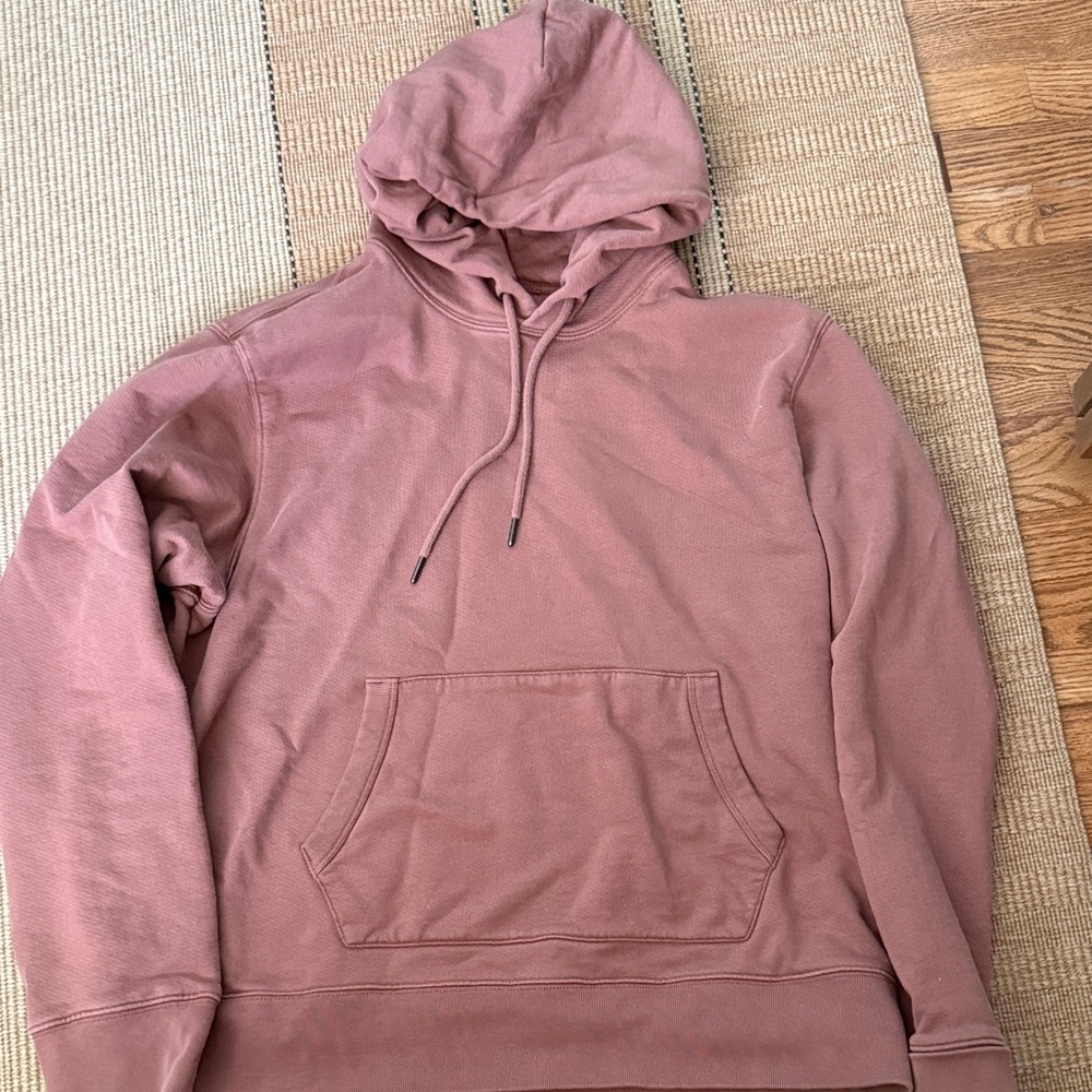 Madewell Dusty Rose Hoodie